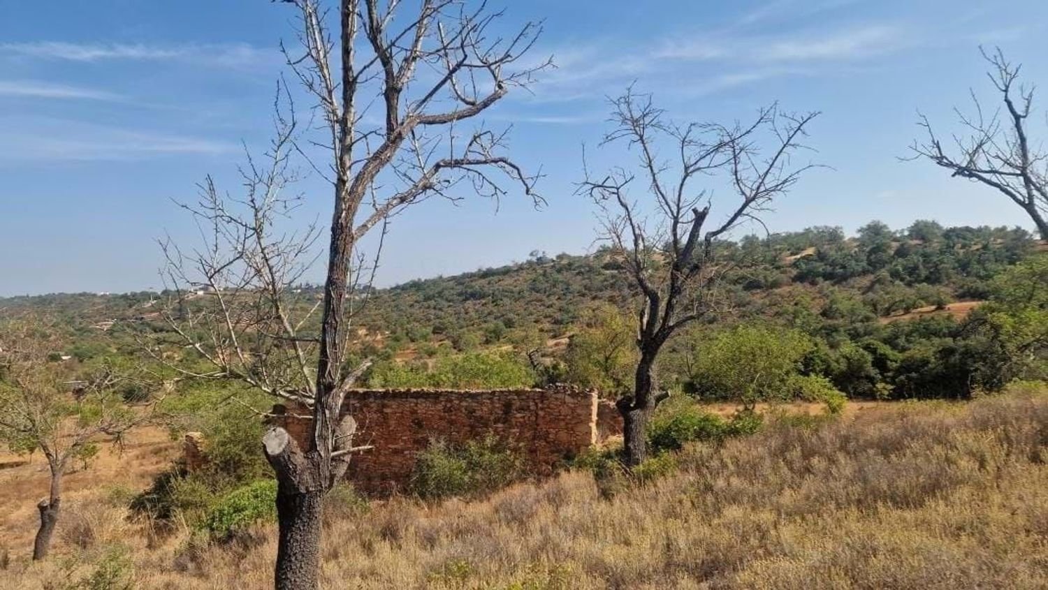 Grundstück in Loule, Portugal 11m², Nr. 137811