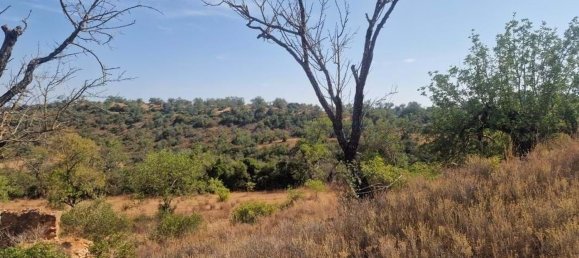 Grundstück in Loule, Portugal 11m², Nr. 137811 31