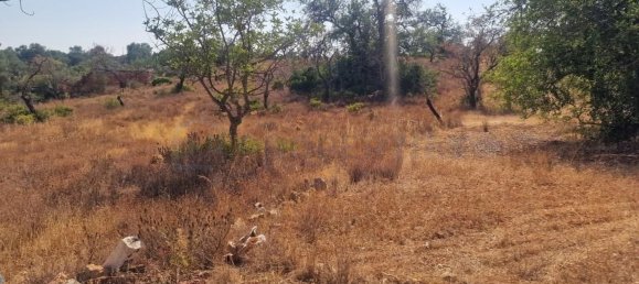 Grundstück in Loule, Portugal 11m², Nr. 137811 30