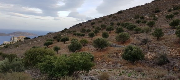 8700m² Hotel in Agios Nikolaos, Greece No. 5355 4