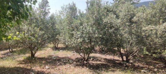 Villa 3+1 in Kalkan, Turkey No. 16322 24