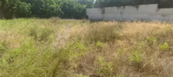 252m² Land in Alicante, Spain No. 154637 3