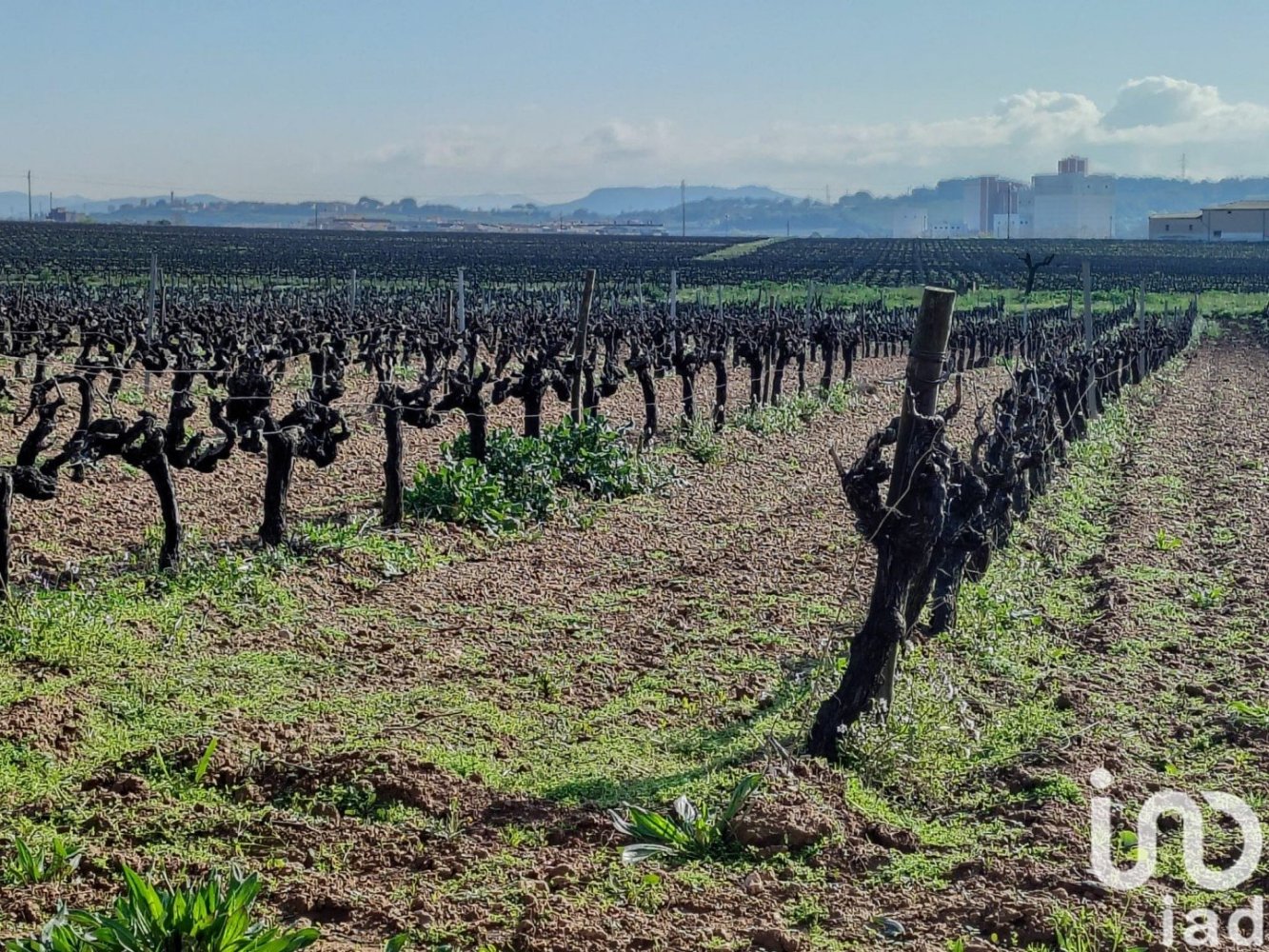 Terreno en Santa Margarida i els Monjos, Spain 1255 m² No. 293184