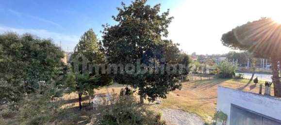 5 bedrooms Villa in Porto Viro, Italy No. 220639 4