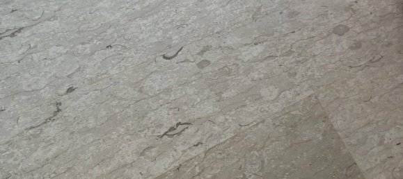 3-Zimmer Villa in Genoa, Italy, Nr. 146150 41