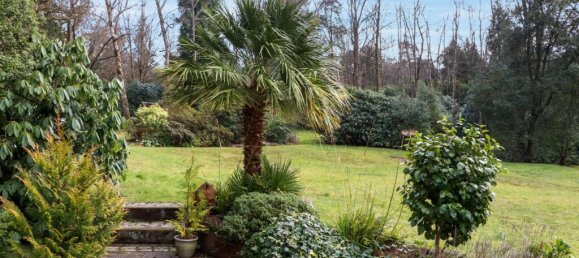 4 Schlafzimmer Haus in Farnham, United Kingdom, Nr. 13764 49