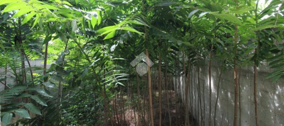 10-Zimmer Haus in San Pietro Vernotico, Italy, Nr. 102818 20