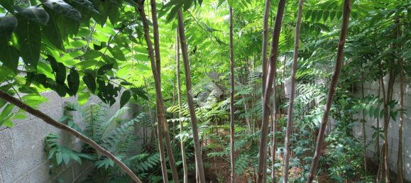 10-Zimmer Haus in San Pietro Vernotico, Italy, Nr. 102818 16