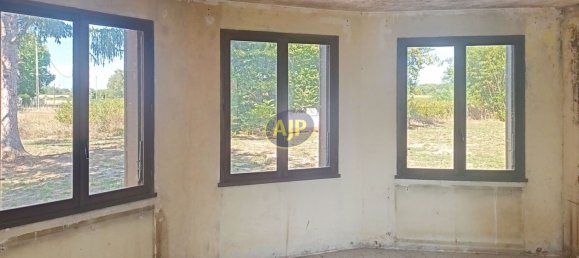 5 bedrooms House in Civrac-en-Medoc, France No. 305459 6