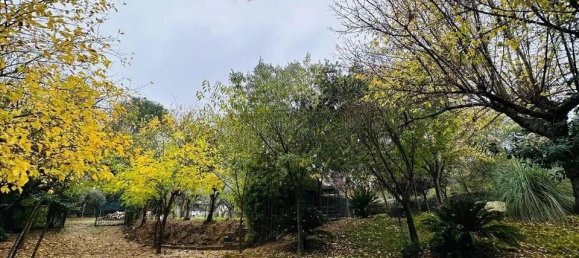 4 chambres Maison à Ontinyent, Spain No. 163627 7