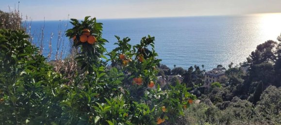 5-salle Villa à Pieve Ligure, Italy No. 37571 23