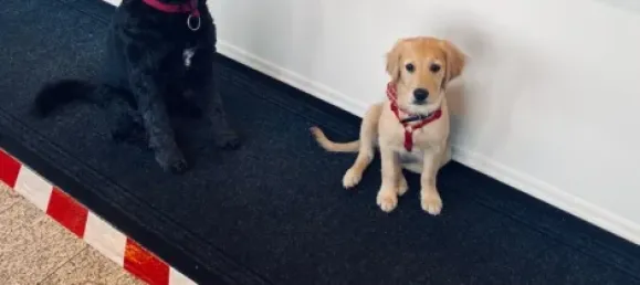 3 rooms Bungalow in Passau, Germany No. 126813 9