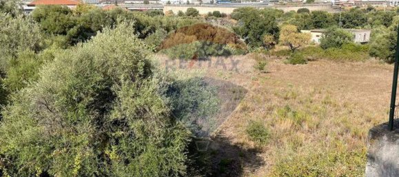 Grundstück in Belpasso, Italy 7300m², Nr. 356215 6