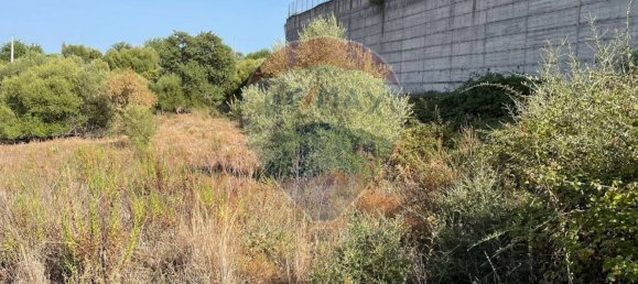 Grundstück in Belpasso, Italy 7300m², Nr. 356215 21