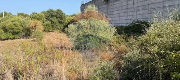 Grundstück in Belpasso, Italy 7300m², Nr. 356215 5