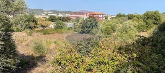 Grundstück in Belpasso, Italy 7300m², Nr. 356215 4