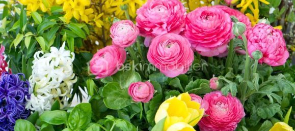 Grundstück in Frethun, France, Nr. 216836 9