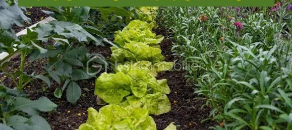 Grundstück in Frethun, France, Nr. 216836 34