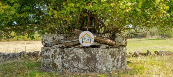 Casa de 1 dormitorio en Mangualde, Portugal No. 58249 14