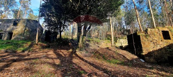 9 bedrooms House in Braga, Portugal No. 33721 21