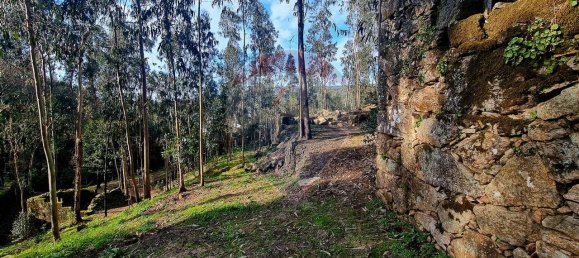 9 bedrooms House in Braga, Portugal No. 33721 25