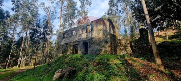 9 bedrooms House in Braga, Portugal No. 33721 4