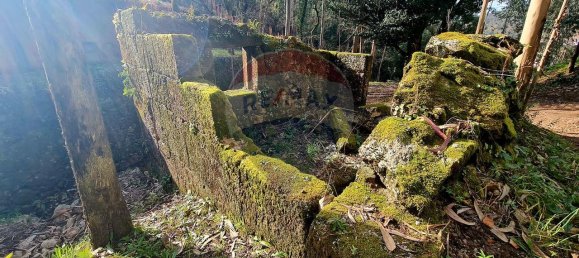 9 bedrooms House in Braga, Portugal No. 33721 7