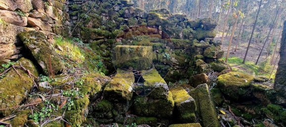 9 bedrooms House in Braga, Portugal No. 33721 29