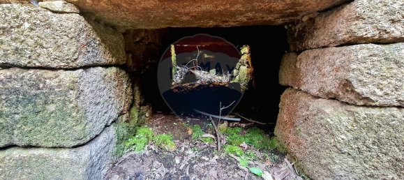 9 bedrooms House in Braga, Portugal No. 33721 8