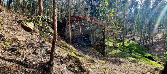 9 bedrooms House in Braga, Portugal No. 33721 28