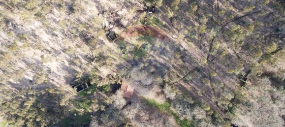 9 bedrooms House in Braga, Portugal No. 33721 23