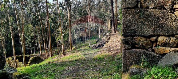 9 bedrooms House in Braga, Portugal No. 33721 35