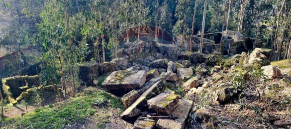 9 bedrooms House in Braga, Portugal No. 33721 26