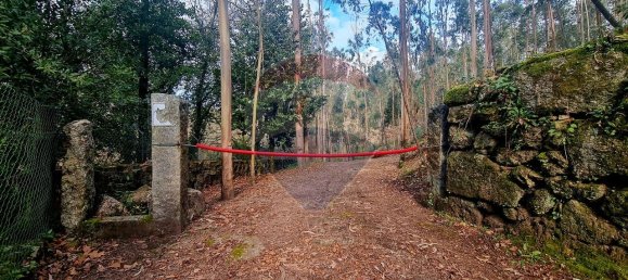 9 bedrooms House in Braga, Portugal No. 33721 2