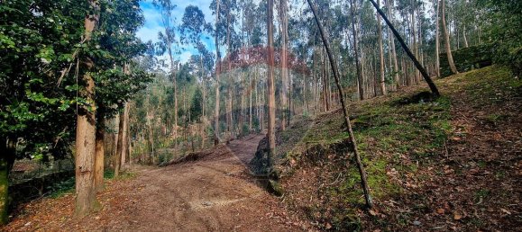 9 bedrooms House in Braga, Portugal No. 33721 5