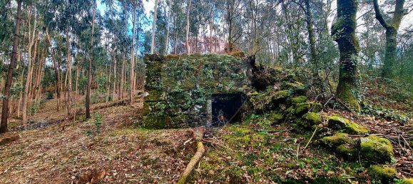 9 bedrooms House in Braga, Portugal No. 33721 45