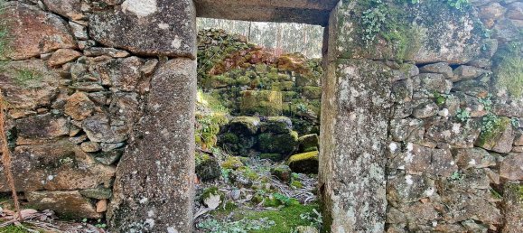 9 bedrooms House in Braga, Portugal No. 33721 31