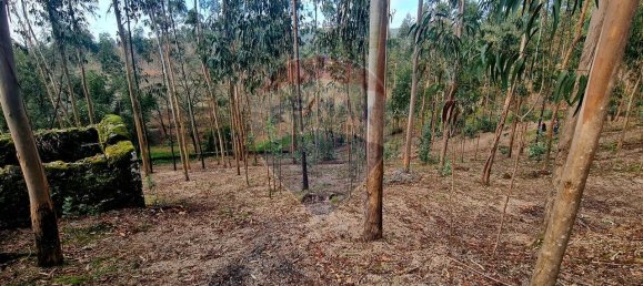 9 bedrooms House in Braga, Portugal No. 33721 43