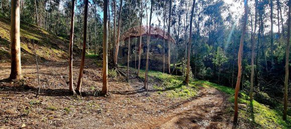 9 bedrooms House in Braga, Portugal No. 33721 20