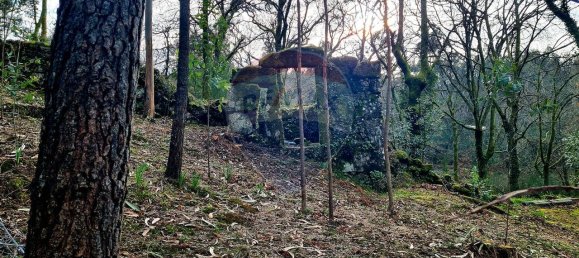 9 bedrooms House in Braga, Portugal No. 33721 40