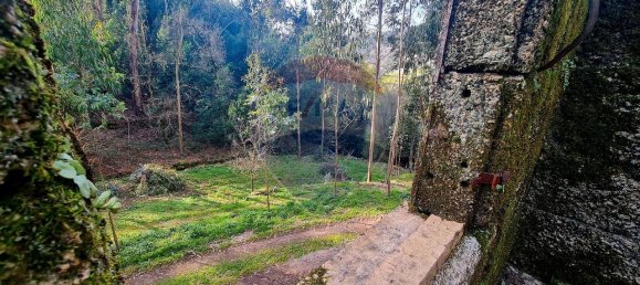 9 bedrooms House in Braga, Portugal No. 33721 17