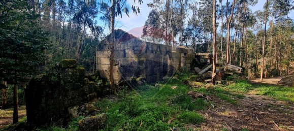 9 bedrooms House in Braga, Portugal No. 33721 13