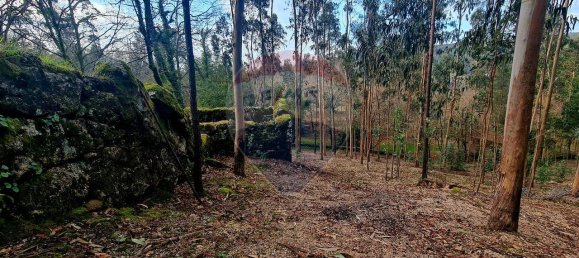 9 bedrooms House in Braga, Portugal No. 33721 42