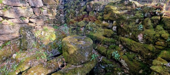 9 bedrooms House in Braga, Portugal No. 33721 32