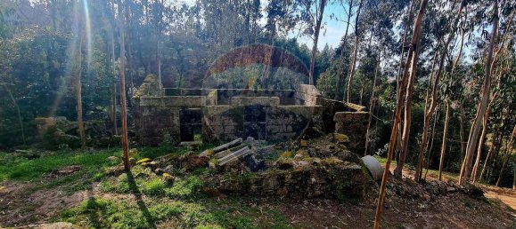 9 bedrooms House in Braga, Portugal No. 33721 14