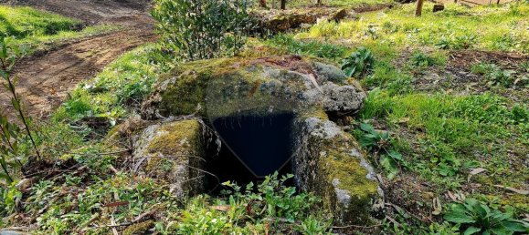 9 bedrooms House in Braga, Portugal No. 33721 36