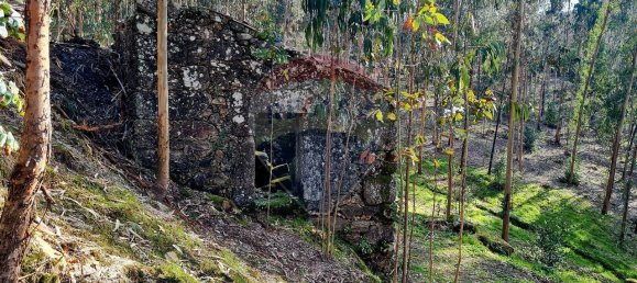 9 bedrooms House in Braga, Portugal No. 33721 27