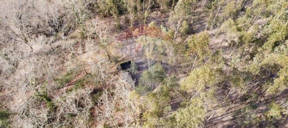 9 bedrooms House in Braga, Portugal No. 33721 41