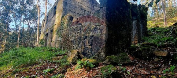 9 bedrooms House in Braga, Portugal No. 33721 22