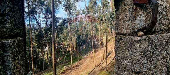 9 bedrooms House in Braga, Portugal No. 33721 15